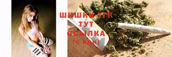 гашик Алексеевка