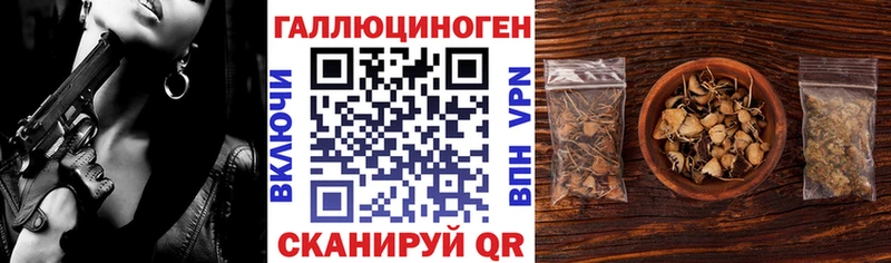 купить  сайты  Кукмор  нарко площадка телеграм  Галлюциногенные грибы Psilocybine cubensis 